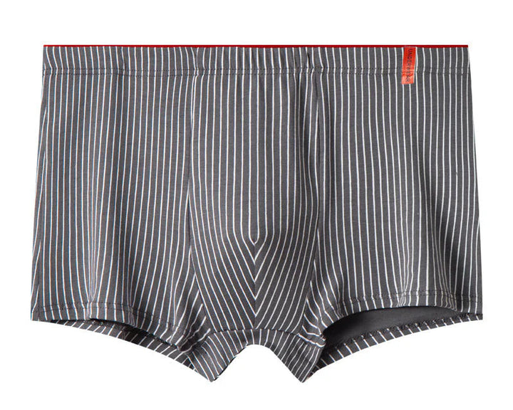 Mireya Striped Cotton Briefs