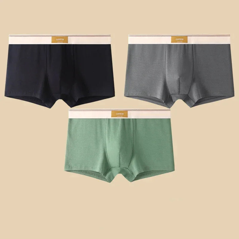 Rovelli men's boxer briefs in black, gray, and green with white waistbands on beige background
