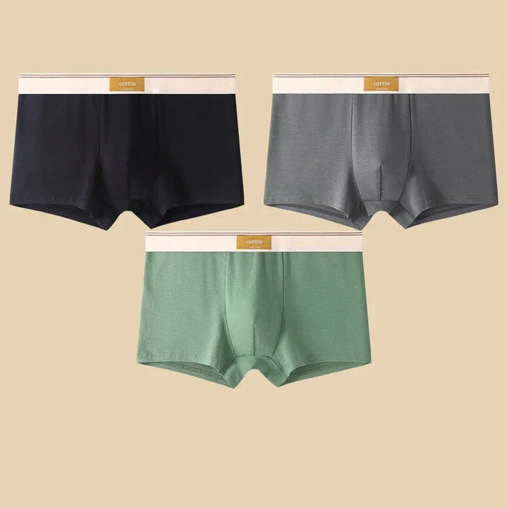 Rovelli men's boxer briefs in black, gray, and green with white waistbands on beige background