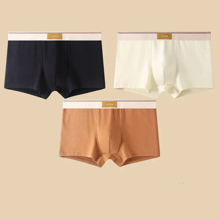 Rovelli men's cotton boxer briefs in black, cream, and brown on beige background