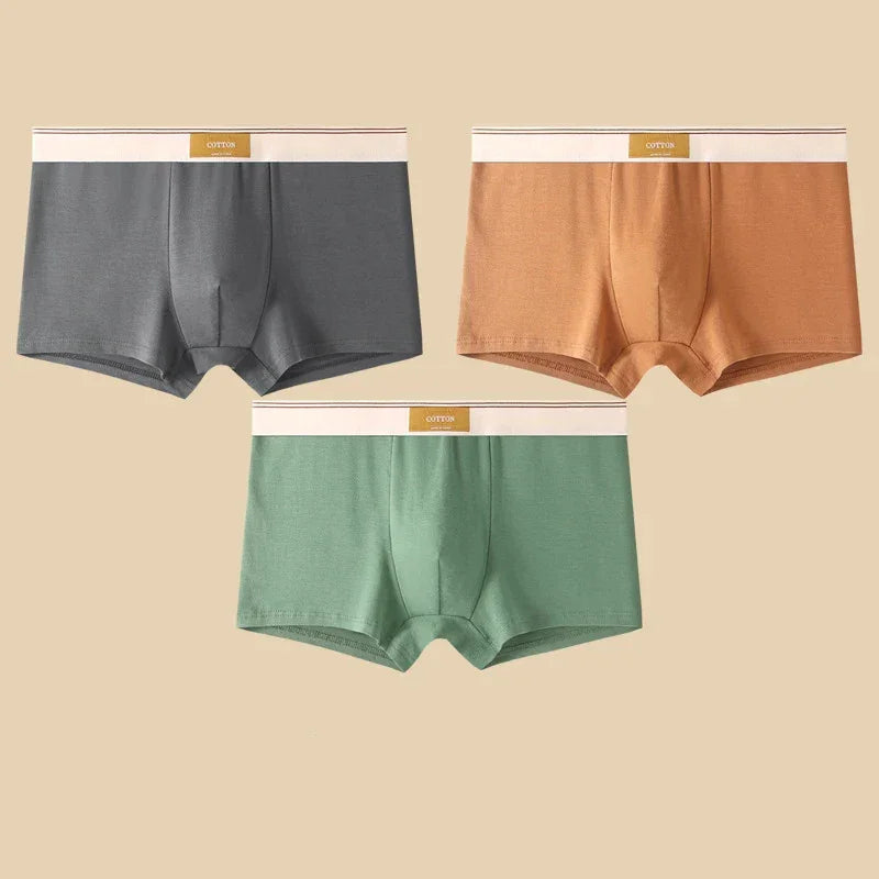 Rovelli men's cotton boxer briefs in grey, tan, and green on neutral background
