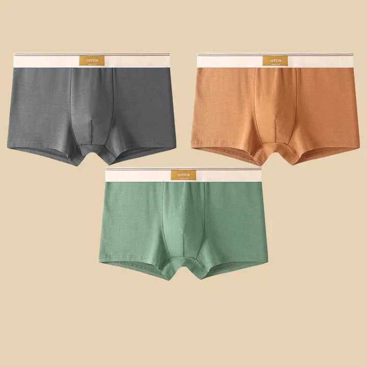 Rovelli men's cotton boxer briefs in grey, tan, and green on neutral background