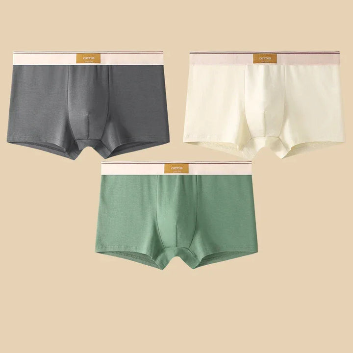 Rovelli men’s cotton boxer briefs in gray, cream, and green, flat lay on beige background