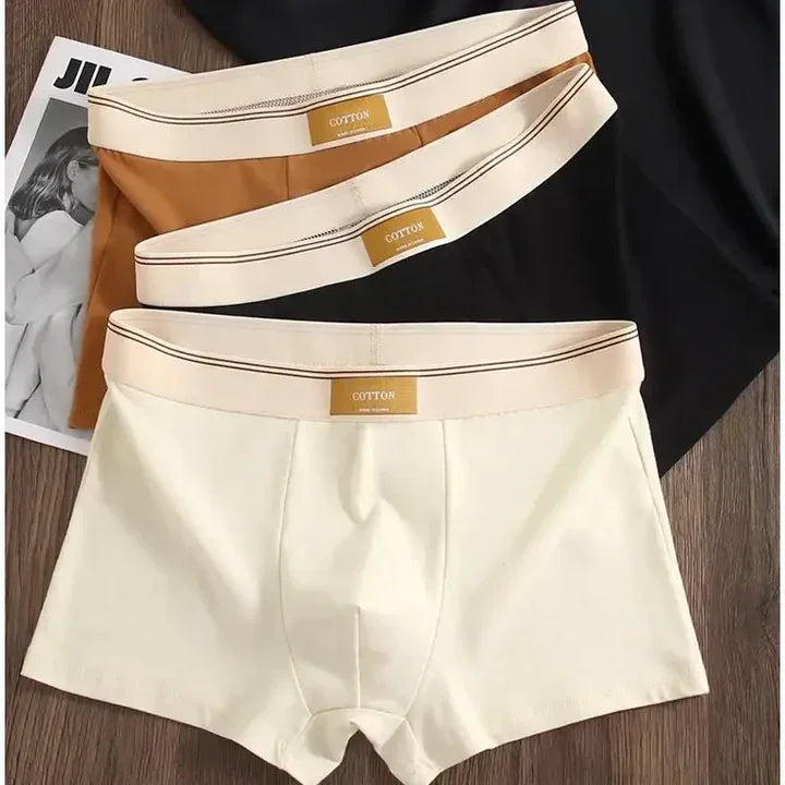 Rovelli cotton men's boxer briefs in cream, black, and brown on wooden surface